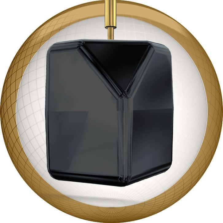 Reality Check - 15lbs Only