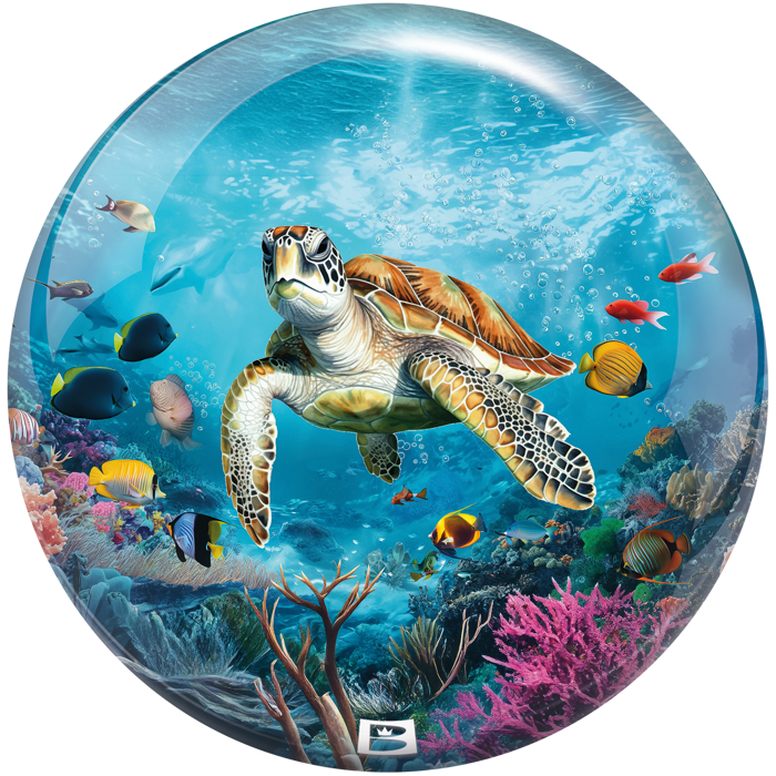 Sea Turtle reverse view