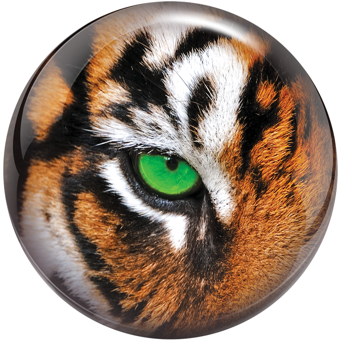 Tiger reverse view